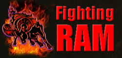 Fighting RAM